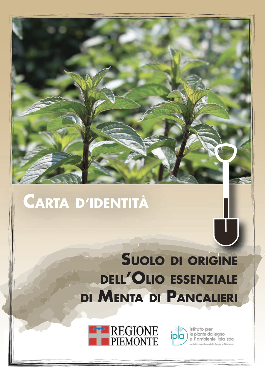 menta di pancalieri